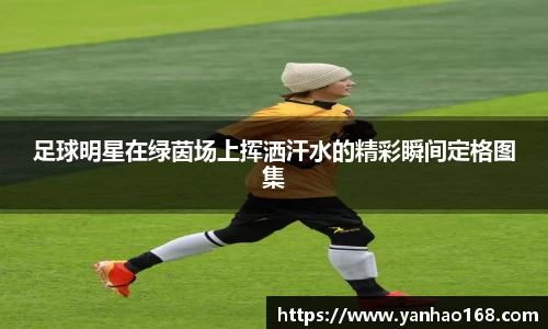 尊龙凯时人生就是搏!